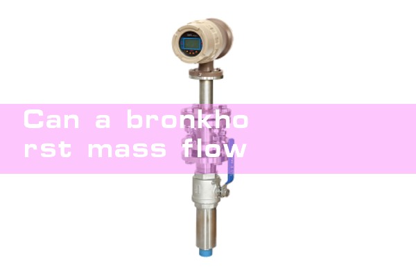 bronkhorst mass flow controller|mass flow meter